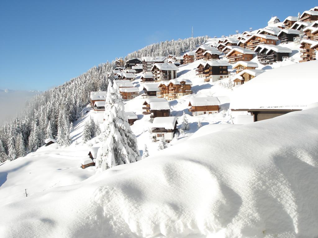 Chalet Foresta Bettmeralp Luaran gambar