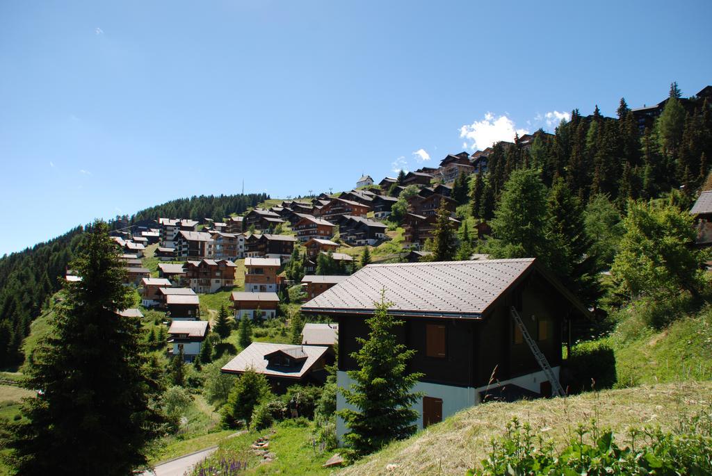 Chalet Foresta Bettmeralp Luaran gambar