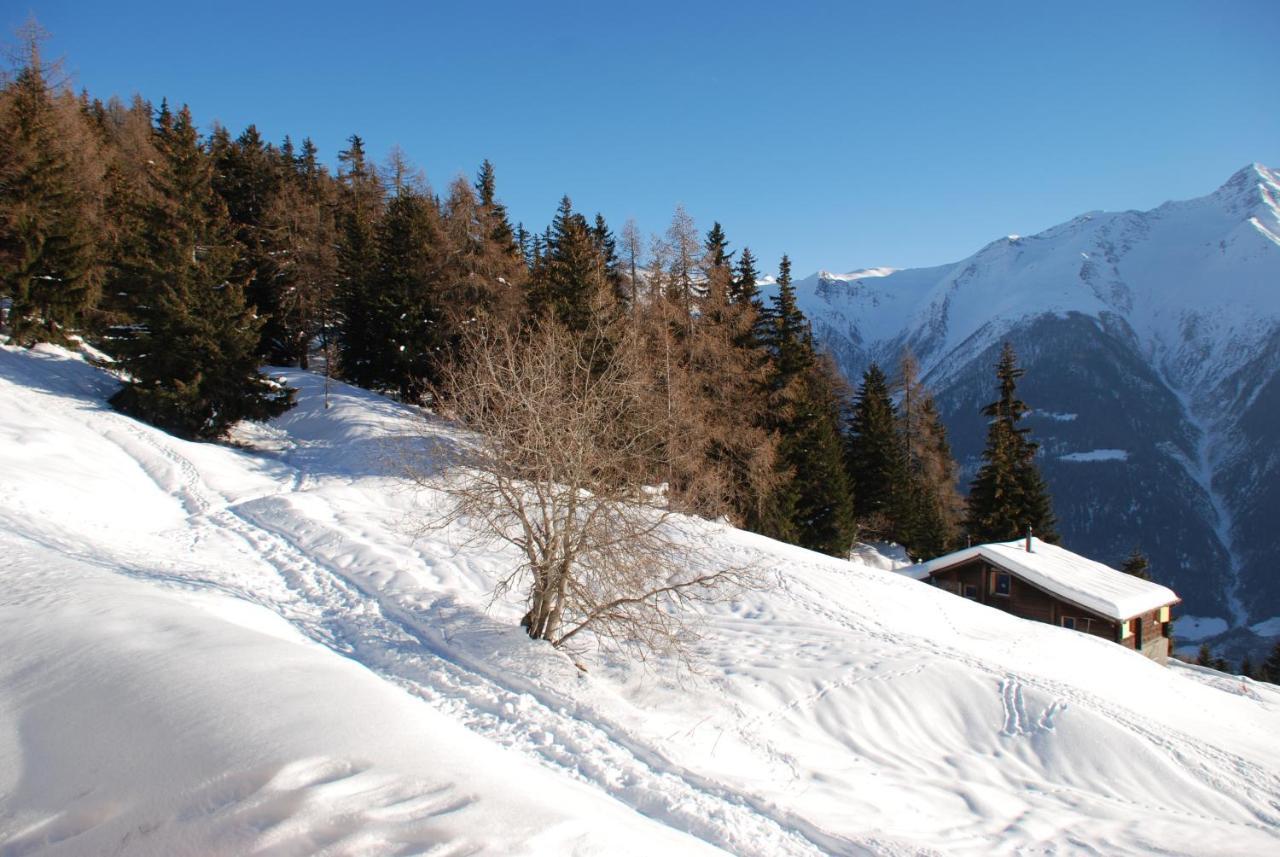 Chalet Foresta Bettmeralp Luaran gambar