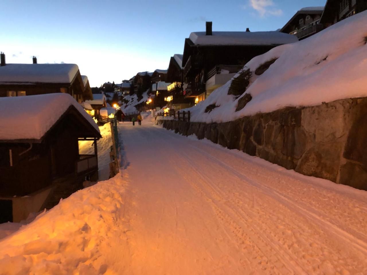 Chalet Foresta Bettmeralp Luaran gambar